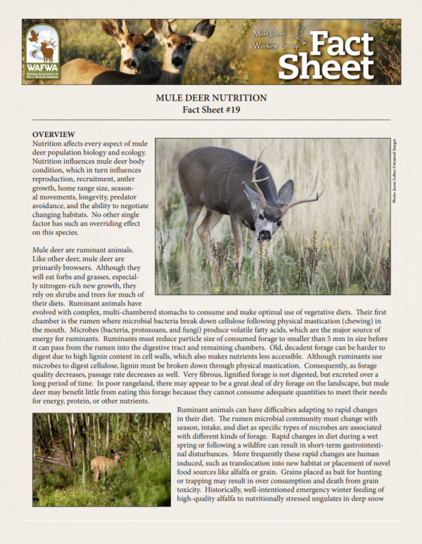 Fact Sheet 19 Mule Deer Nutrition WAFWA