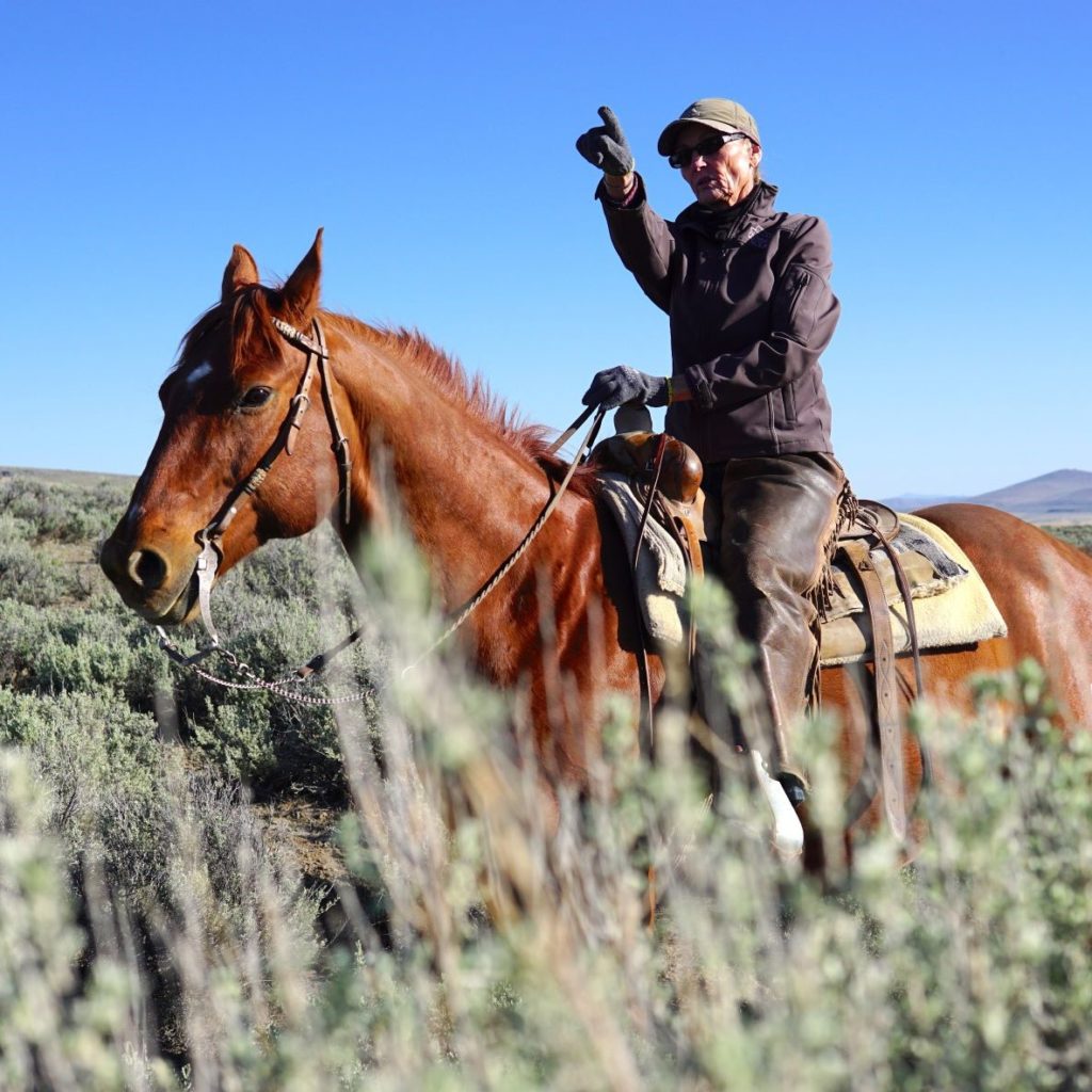Woman in black jacket and hat points in front of her while sitting on a brown horse standing still. They are surrounded by sagebrush