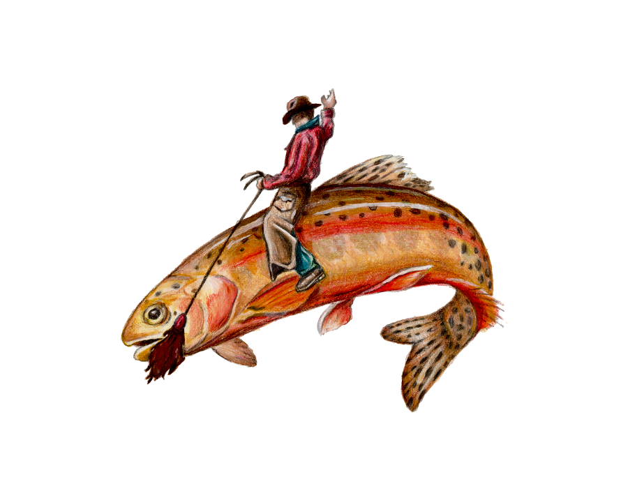 cowboy astride the back of a California rainbow trout with rope in his hand connected to a lure in the fish's mouth