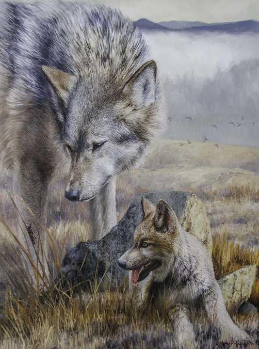 Adult wolf stands broadside with head turned toward grasshopper on a blade of grass. Young wolf beside adult also looks at grasshopper with tongue out