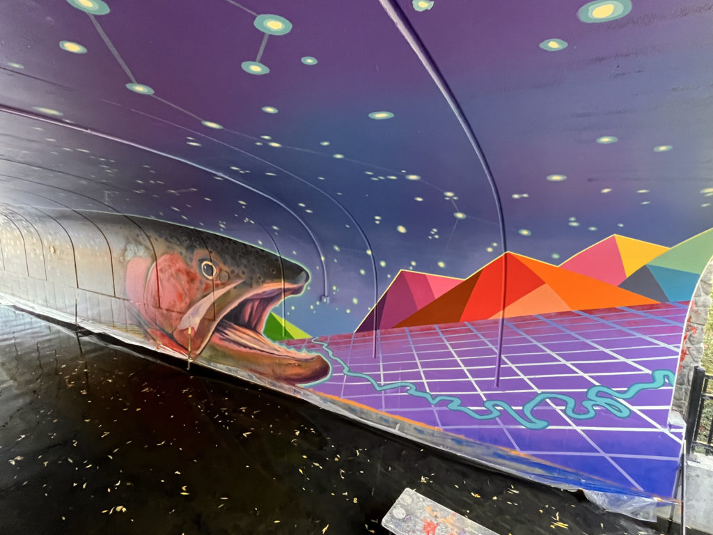 Painted mural of a cutthroat trout with pyramids, constellations, and geometric designs inside a tunnel wall