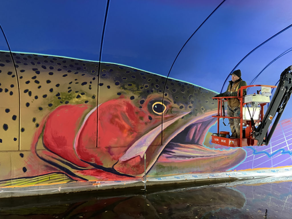 Man stands on a lift with paint buckets at his feet beside a large mural of a cutthroat trout painted inside a tunnel.